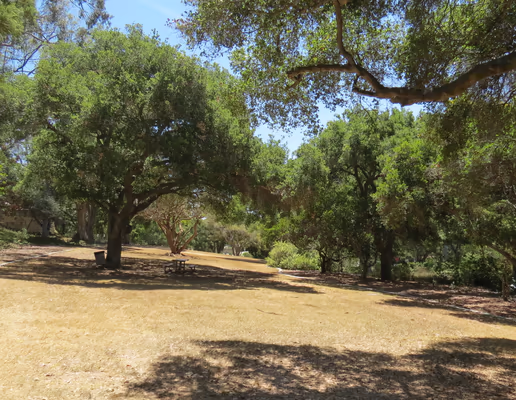 Orpet Park photo 1